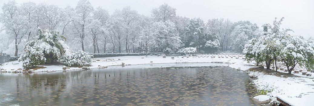 武汉冬日雪景风光