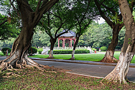 中山大学