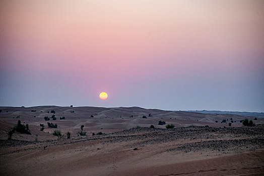 迪拜沙漠保护区中心的,大漠落日