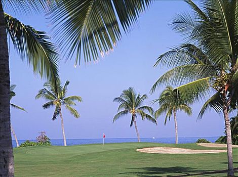 夏威夷,夏威夷大岛,乡村俱乐部,高尔夫球场,海洋,背影