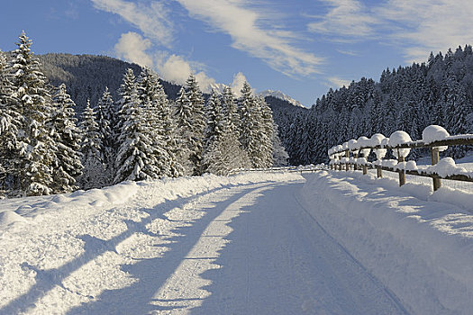 积雪,道路,巴伐利亚,德国