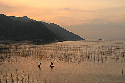 霞浦北岐