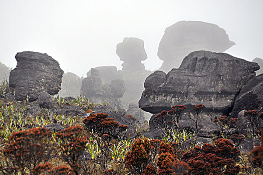 岩石,风景,薄雾,高原,桌山,边界,三角形,巴西,委内瑞拉,圭亚那,南美