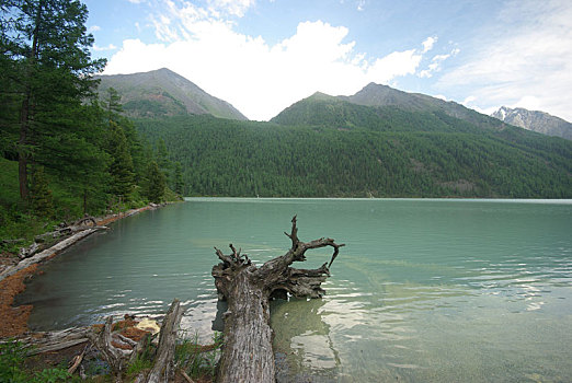 漂亮,山景,靠近,湖,高山湖,山地,水,山谷