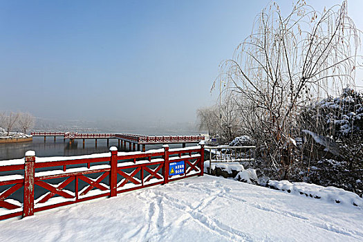 雪景