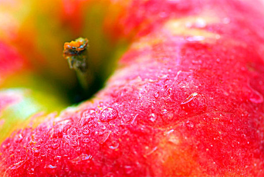微距,红苹果,小水滴
