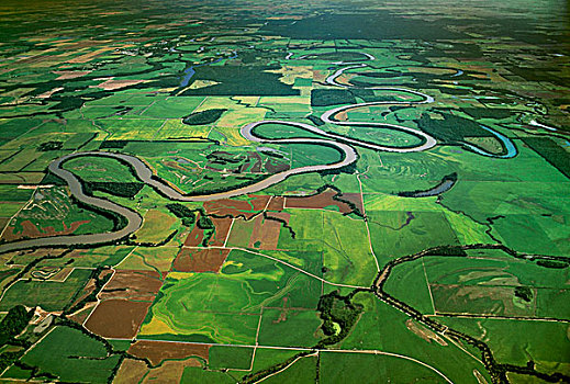 农业,航拍,图案,地点,白色,河,靠近,阿肯色州,美国
