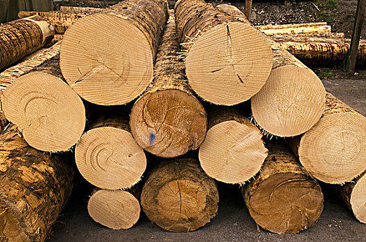 锯木厂,木料,交易,原木,存储,木材,奥地利,欧洲
