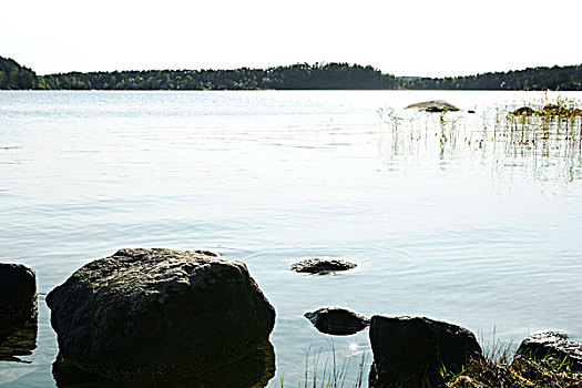 石头,边缘,湖
