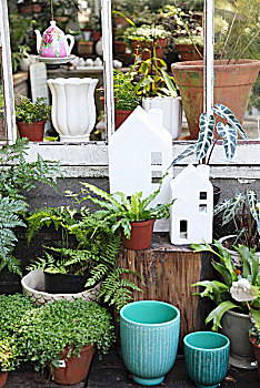 盆栽,种植器皿,小,白色,装饰,房子,户外,温室