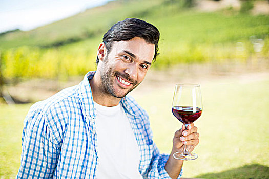 头像,微笑,男人,拿着,红酒,葡萄园