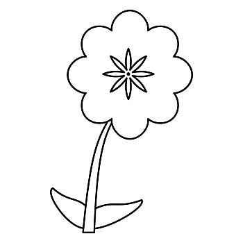 美人蕉,花饰,线条,矢量,插画