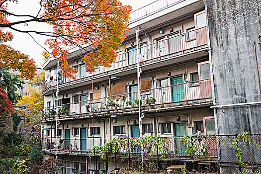 日本,京都,60年代,公寓楼