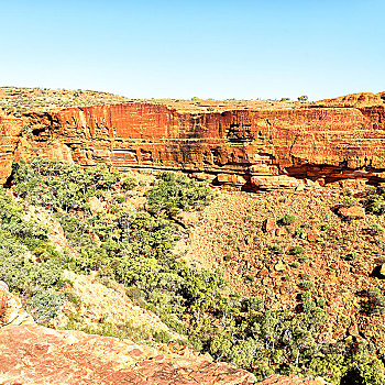 澳大利亚,国王峡谷,自然,野外,内陆地区
