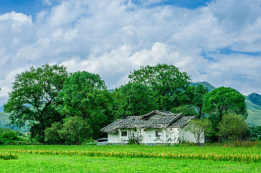 田野风光