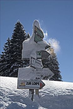 越野滑雪,山谷,靠近,湖,上巴伐利亚,德国