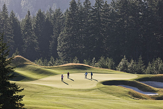 俯视,四个,打高尔夫,玩,高尔夫,绿色,远景