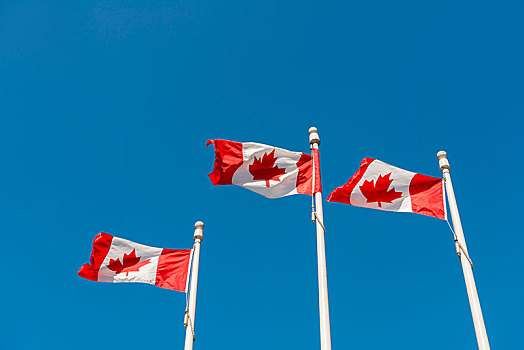 三个,旗杆,加拿大国旗,温哥华,不列颠哥伦比亚省,加拿大,北美