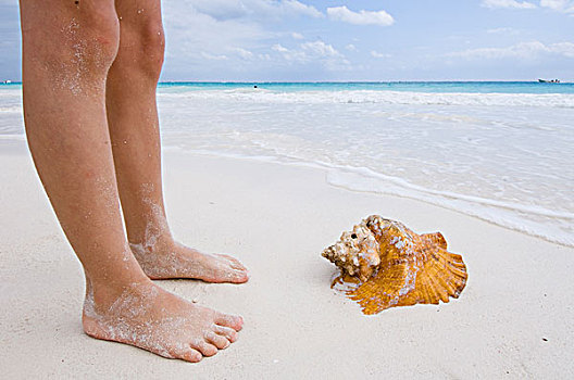腿,海螺壳,海滩,墨西哥