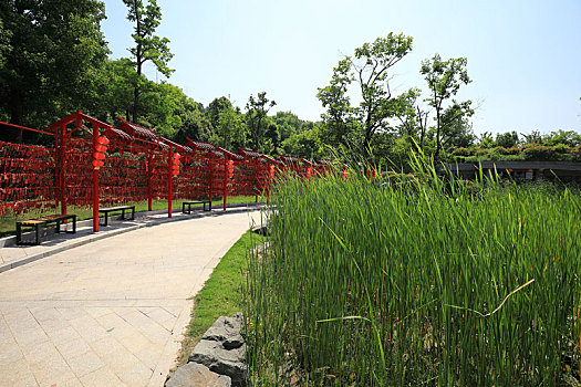 南京银杏湖景观