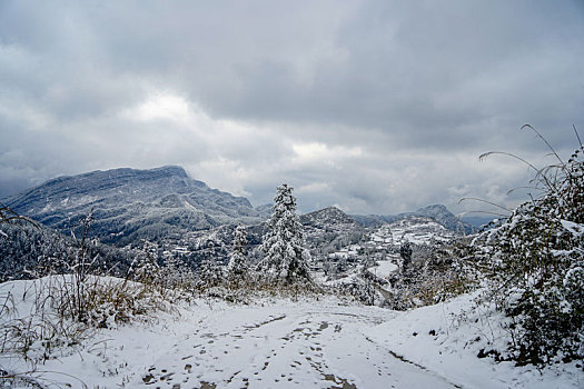 重庆酉阳,又见瑞雪兆丰年