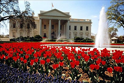 喷泉,正面,政府建筑,白宫,华盛顿特区,美国