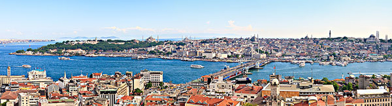 伊斯坦布尔,全景,加拉达塔,塔,金角湾,土耳其