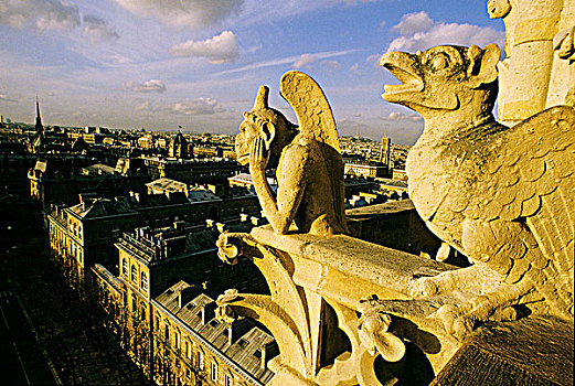 法国,巴黎,圣母大教堂,滴水兽