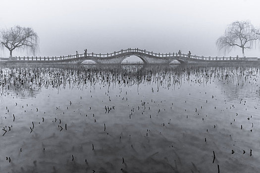 冬雾朦胧大明湖