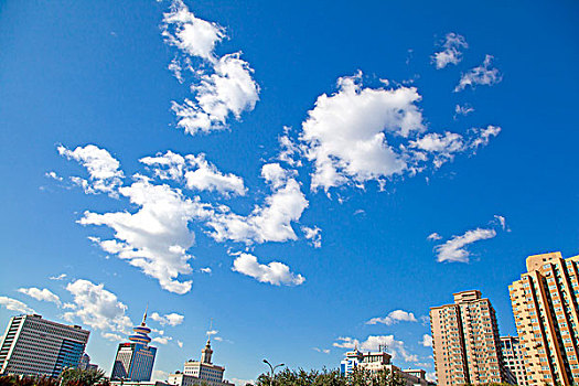 在摩天大楼之间仰视蓝天白云