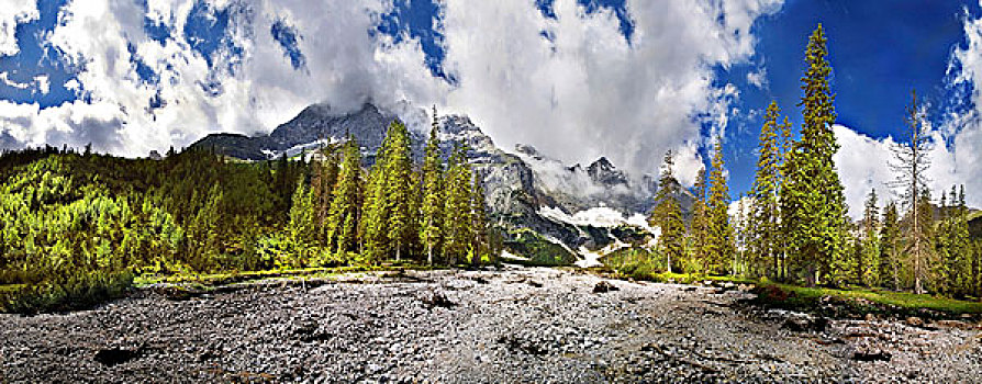 山脉全景,干枯,山林,怪异,云,山脉,提洛尔,奥地利,欧洲