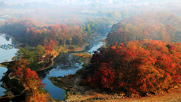 秋季的彩色河滩