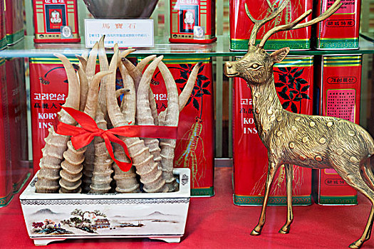 中国,香港,上环,橱窗展示,鹿,鹿茸