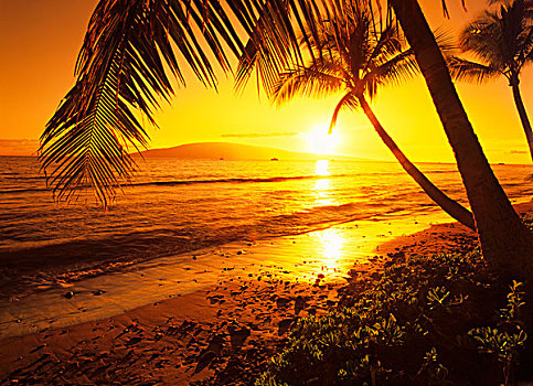 美国,夏威夷,毛伊岛,彩色,日落,热带天堂