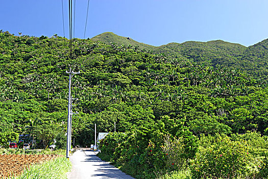 石垣岛,城市,冲绳