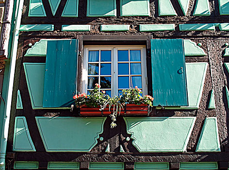窗户,绿色,半木结构房屋,地区,科尔玛,阿尔萨斯,法国
