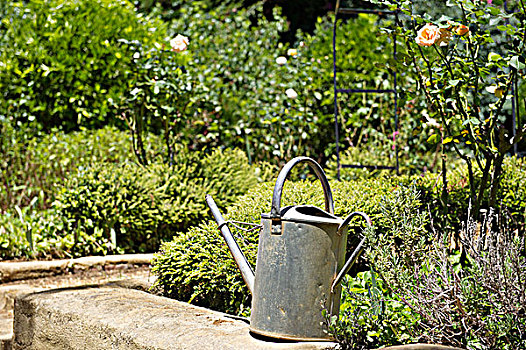 洒水壶,石头,花园