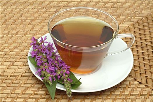 紫色金钱草,千屈菜,药茶