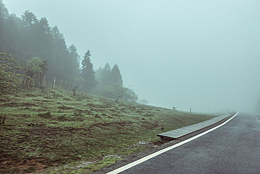 雾中的森林道路