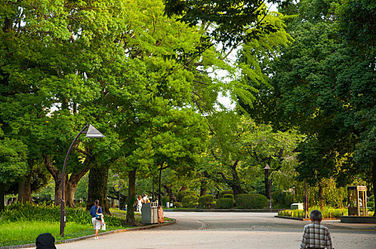 日本东京,上野,恩赐,公园,散步,运动的,人们