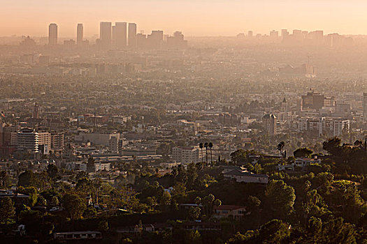 俯视,好莱坞,世纪城,远景,洛杉矶,加利福尼亚,美国