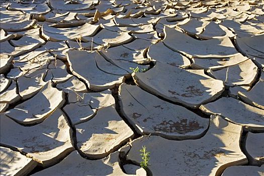 干燥,干枯河床,河,纳米布沙漠,纳米比亚,非洲