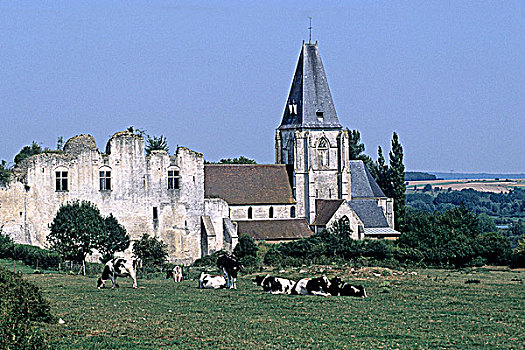 法国,遗址,教区教堂