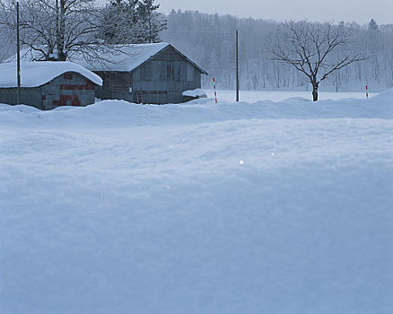 雪原,小屋