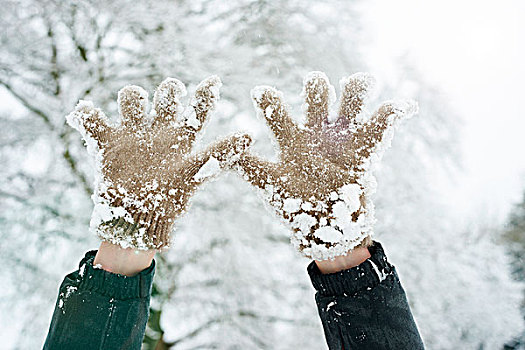 特写,雪,手套