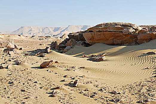 荒漠景观,达赫拉,绿洲,利比亚沙漠,西部,撒哈拉沙漠,埃及,非洲