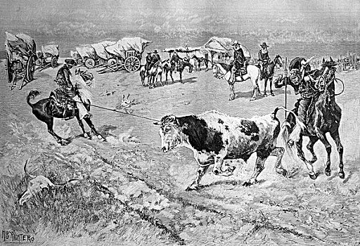 捕获,潘帕斯草原,历史,插画,1893年