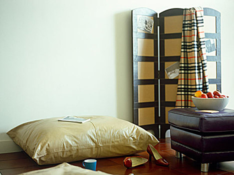起居室,晒黑,皮革,地面,垫子,器具,水果,凳子