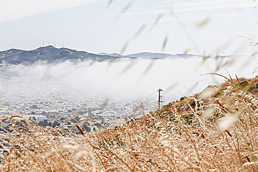 风景,雾状,天气,旧金山,加利福尼亚,美国
