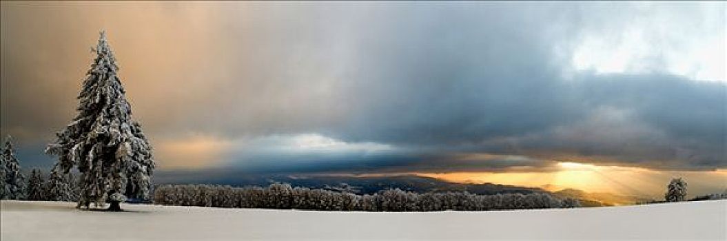 冬天,风景,黑森林,靠近,日落,山,巴登符腾堡,德国,欧洲